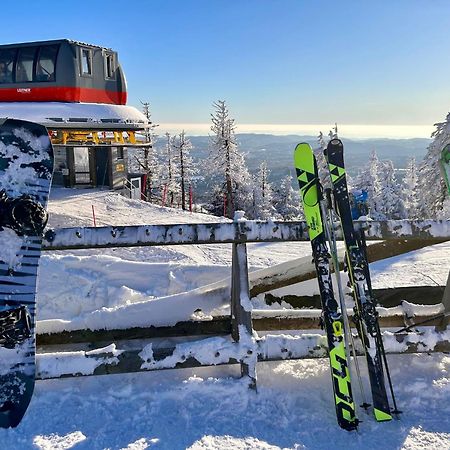 Harzbeat Daire Braunlage Dış mekan fotoğraf