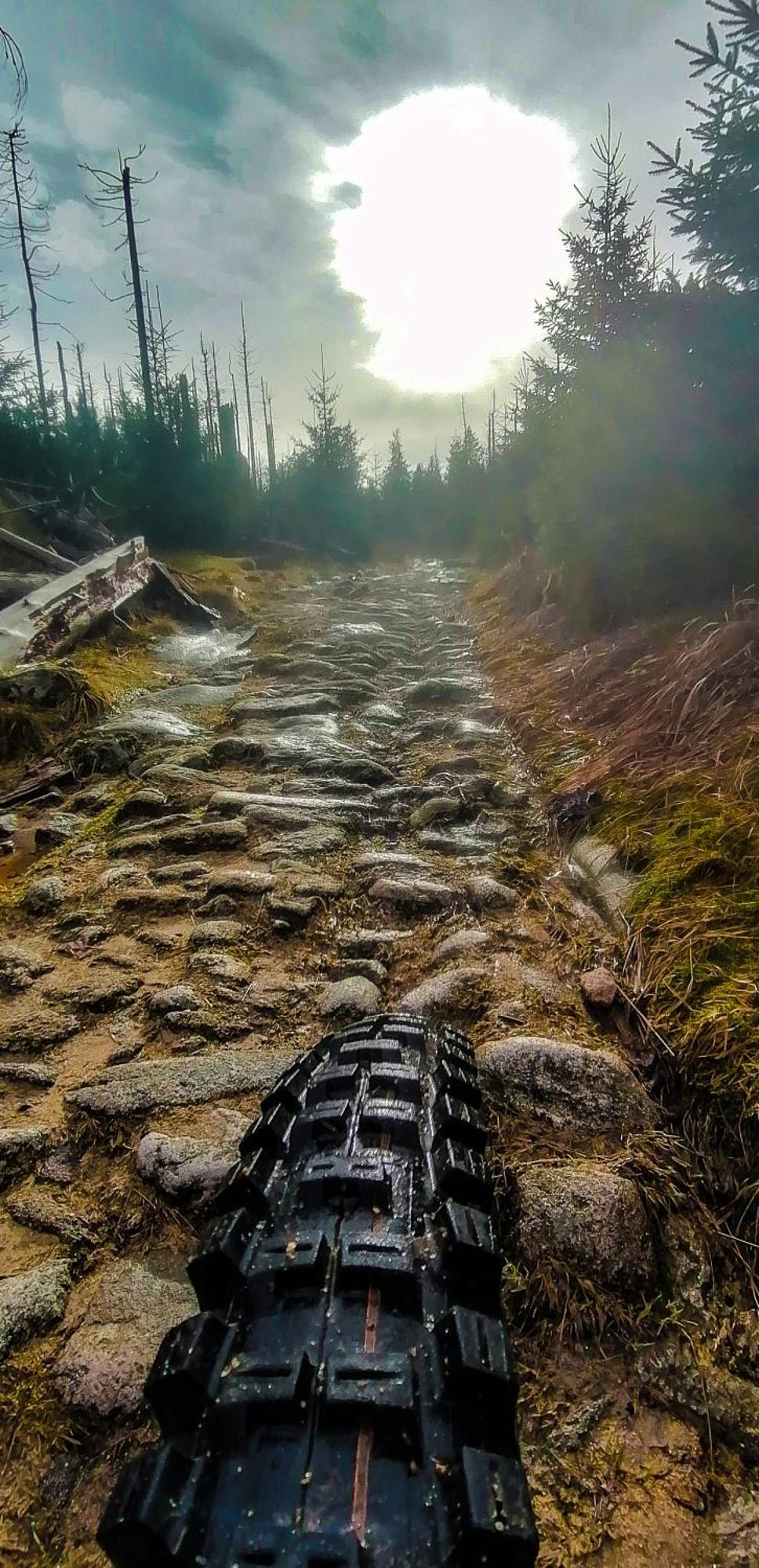 Harzbeat Daire Braunlage Dış mekan fotoğraf