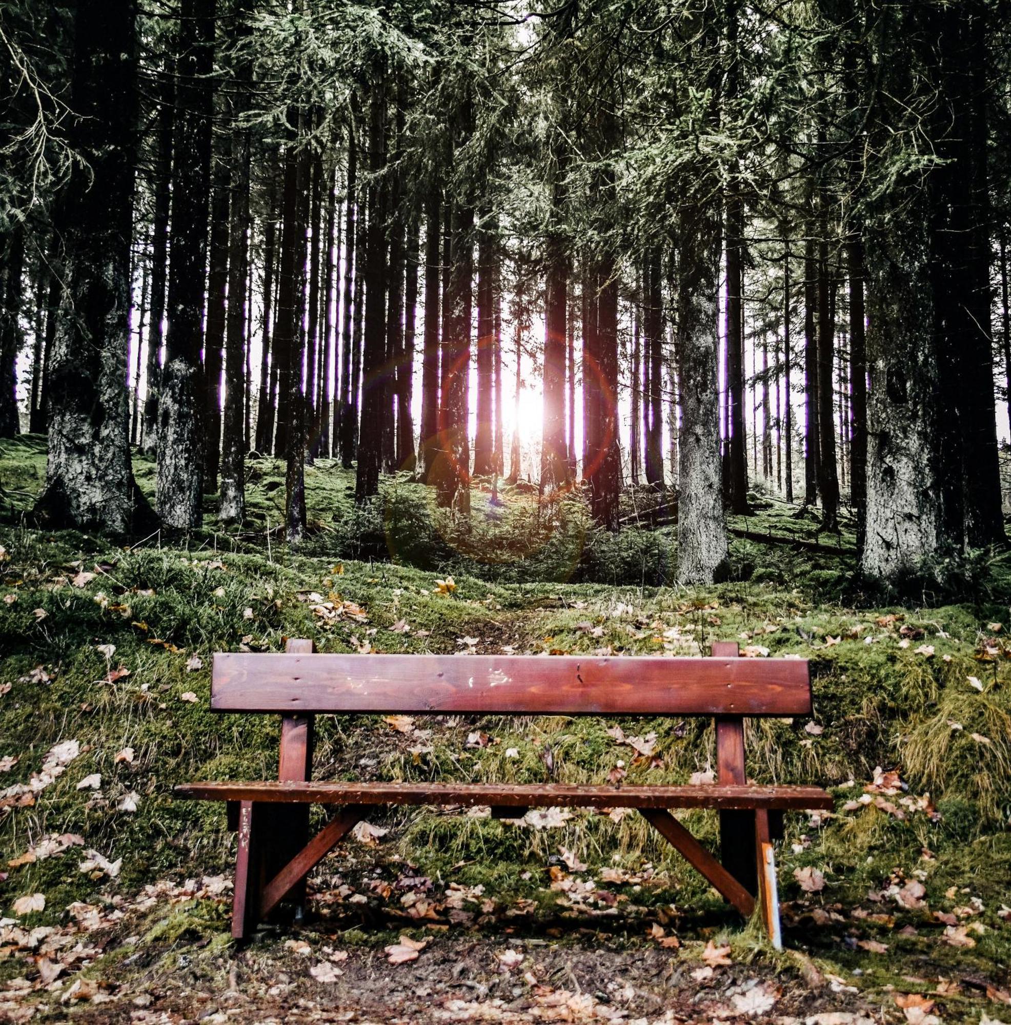Harzbeat Daire Braunlage Dış mekan fotoğraf