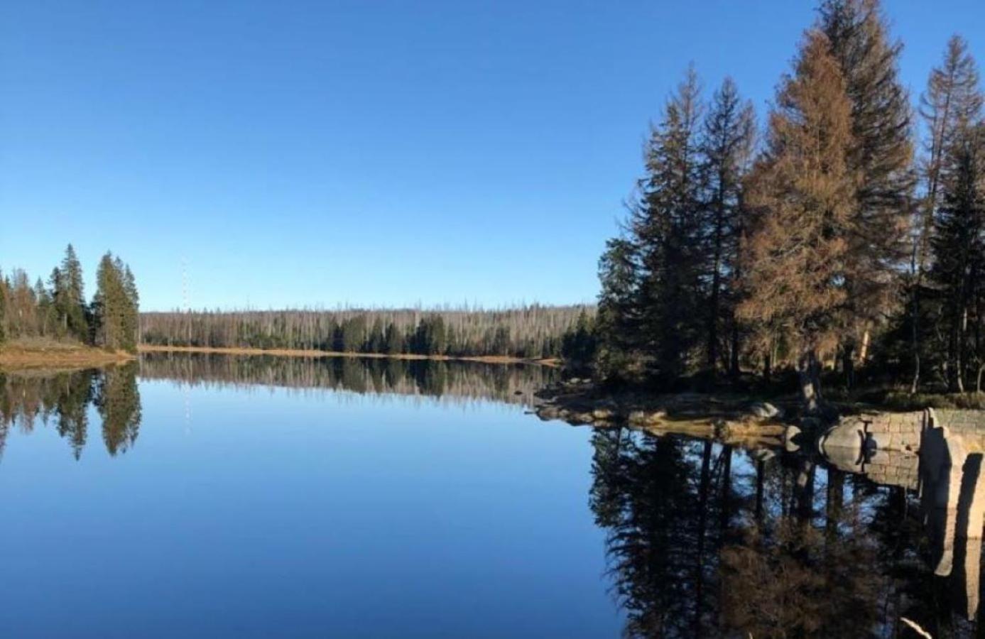 Harzbeat Daire Braunlage Dış mekan fotoğraf