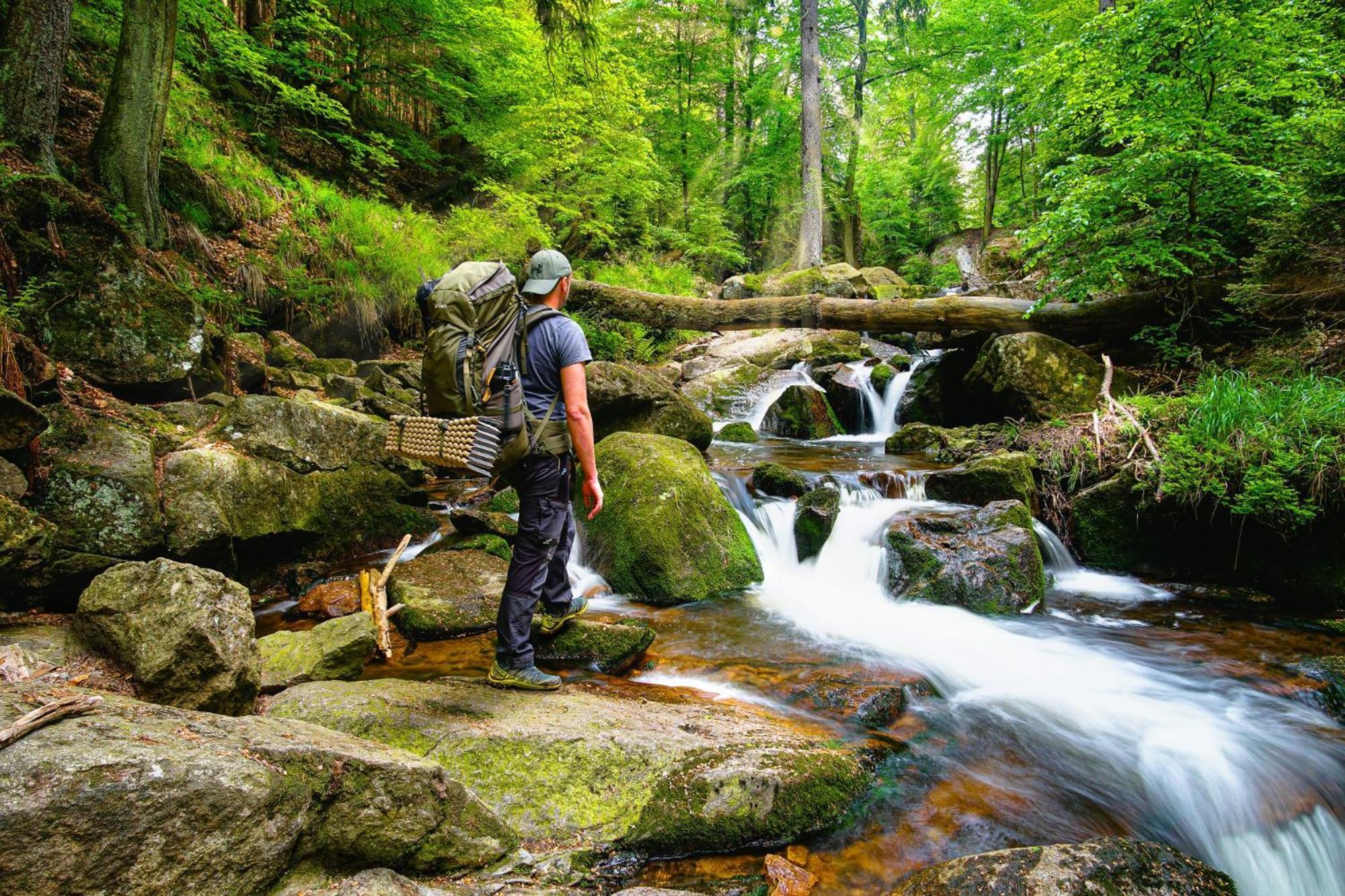 Harzbeat Daire Braunlage Dış mekan fotoğraf